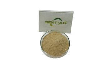 Rennet Enzyme for Cheese and Yogurt