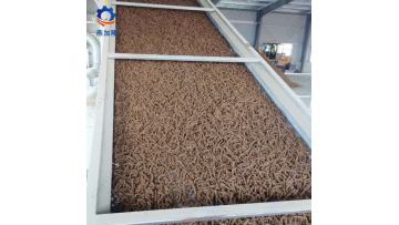 Photo_Video_002
