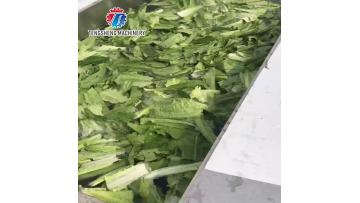 Salad Washing and Dehydration Processing Line