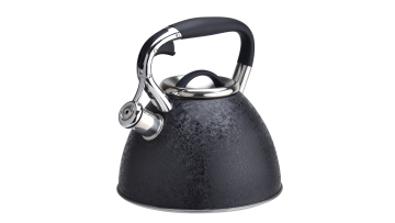Black spray painting water kettle FH-353