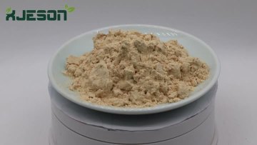 Pea Protein Powder