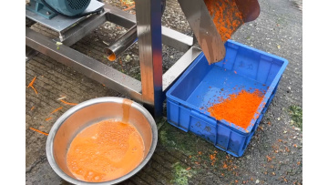 ST-1.5T Screw Juicer (Carrot Juicing)