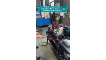 Video 17