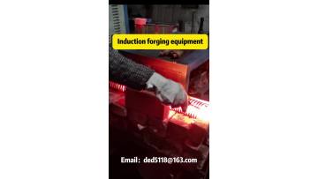 Induction forging equipment