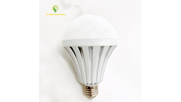 Led Bulb Emergency 