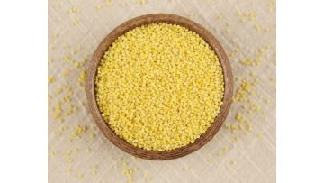 grain Millet2