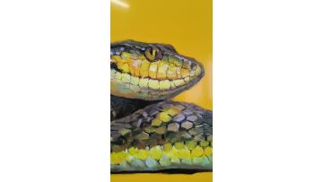 snake1