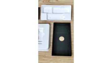 Professional Sugarcane Bagasse Pulp Tray1