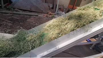 Alfalfa Hay Animal Feeding Bagging Baler