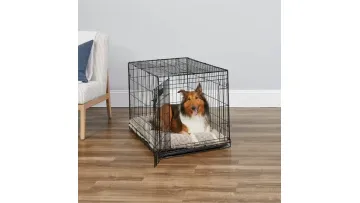 Collapsible Double Doors 18 Inch Tray Dog Crate for Pet Traveler1