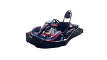2016 Hottest 4 Wheel 200cc/270cc Racing Go Kart With 4 Wheel Drive1