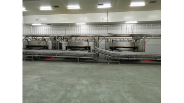 coated nut production line