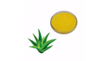 98 % 99% Natural Aloe Vera  Extract Powder1