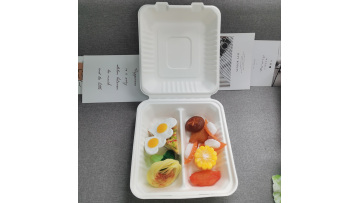 Biodegradable Sugarcane 8inch-2 compartment Burger Container