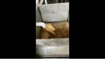 Your product deserves better packaging.