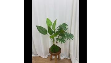 Artificial Bonsai Tree for Indoor Decoration - Green Plant Bird Paradise with Banana1
