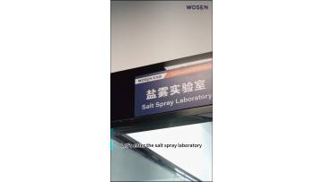 Lamp salt spray corrosion test