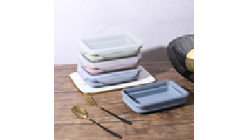 BPA FREE Thickened Foldable Portable Box Large Silicone Lunch Box1