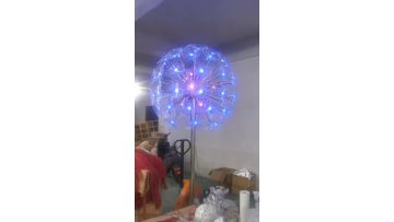 LED Dandelion Light