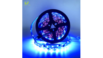 DC12V/24V 60LED/m 144 Pixel RGB Bluetooth Addressable 2811/2815 30/60/120 LED Tuya App Light Strip1