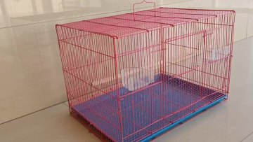 Collapsible Big Size Decor 500 Birds Layer Cage Cockatiel Bird Cage1