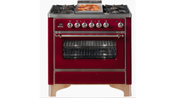 Roasting Convection Oven 