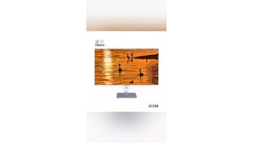 2C238-1 all in one PC