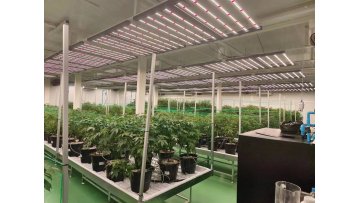 Folding led grow light 1000W