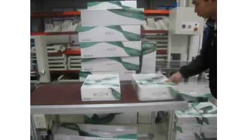 The customized side sealer ( frontal side seal type)  works  with the synchronized conveyor to pack the boxes , a very economic solution.