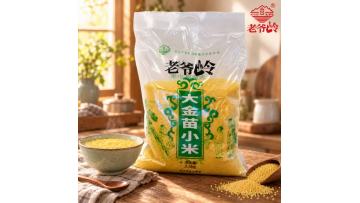 Dajinmiao Millet
