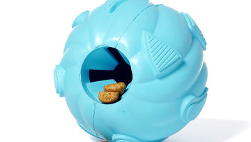 treat ball toy