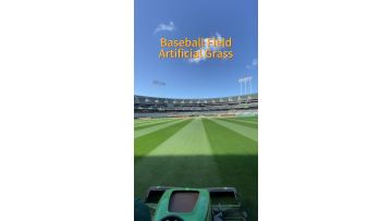 Baseball Field (2)