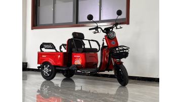Small Leisure Electric Tricycle