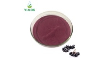 Manufacturer Supply 100% Natural Organic Aronia Fruit Powder Extract1