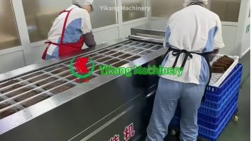 Cold Noodles Thermoforming Packaging Machine