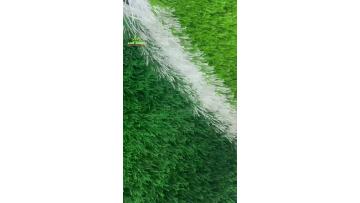 artificial football grass