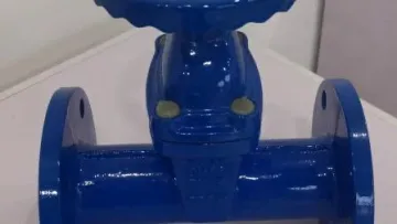 Soft Seal Gate Valve Industrial Valve Water Gate Valve Elastic Seat Non Rising Stem Gate Valve F5 Non Rising Stem Gate Valve Customized Gate Valve Made by Chine1