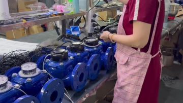 linshui product video29