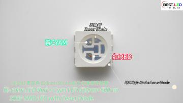 Bi-color LED Red+Cyan  5050 SMD with Zener Diode