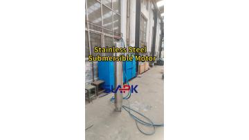 Stainless Steel Submersible Motor