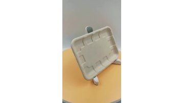 bagasse meat tray