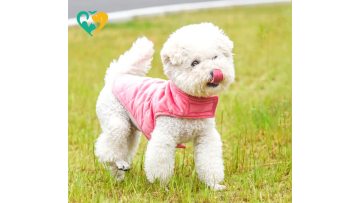 dog jacket amazon
