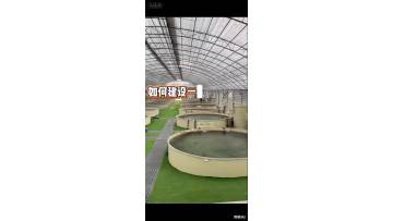 Modern High-Density Fish Farming
