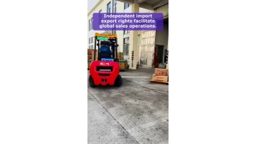 Video 30