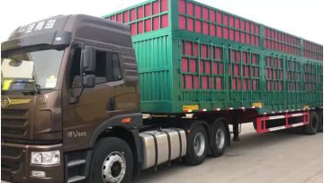 Fence Cargo Semi Trailer