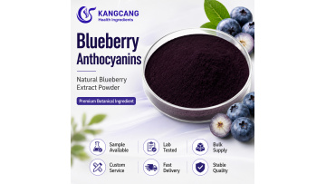 Organic Wild Blueberry Extract Powder
