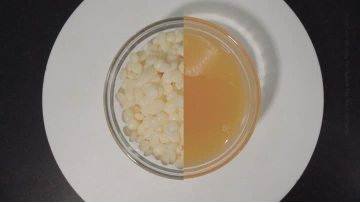 methyl glucose sesquistearate