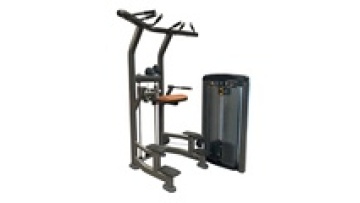 Commercial New Style Gym Dip/Chin Assist