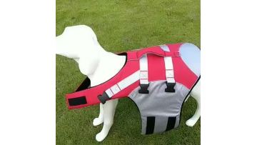 pet supplies and clothing