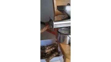 family oil press